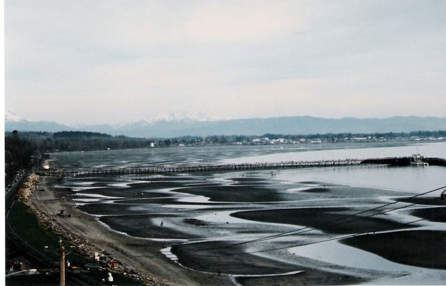 White Rock Beach at Low Tide
